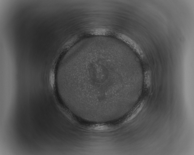 X0000102000589200808011123