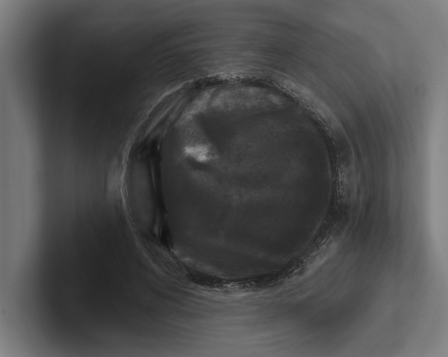 X0000102000592200808011123