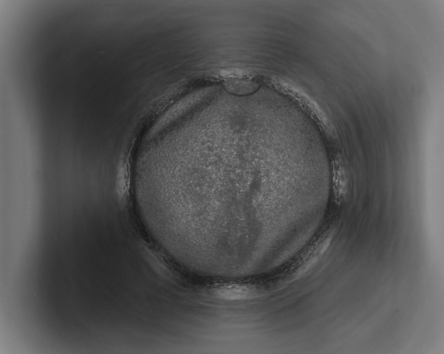 X0000102000593200808011123