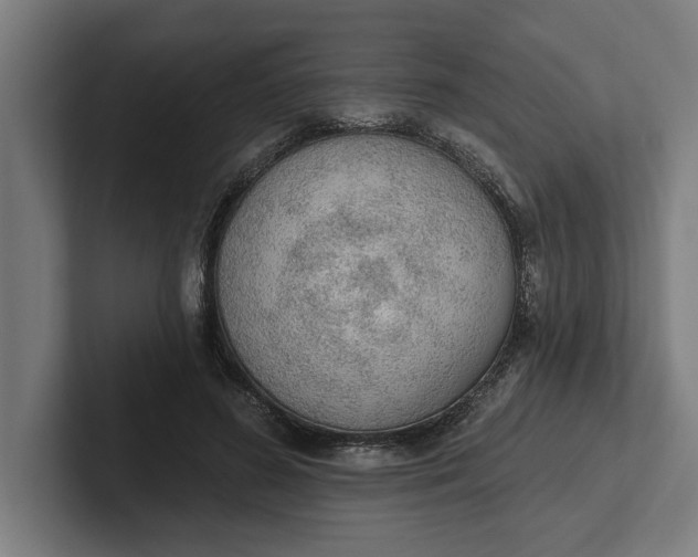 X0000102000596200808011123