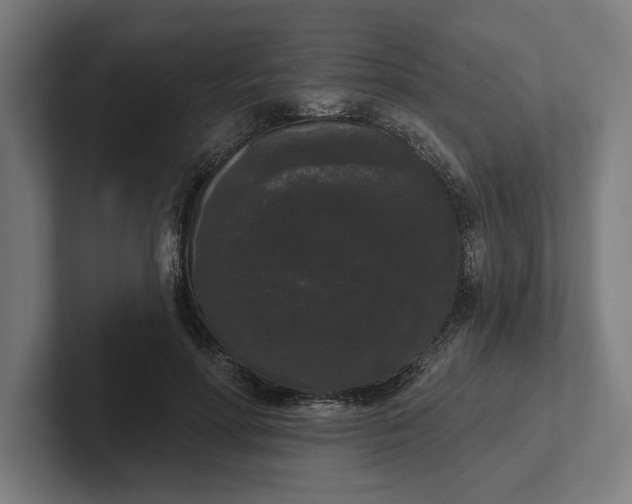 X0000102000598200808011123