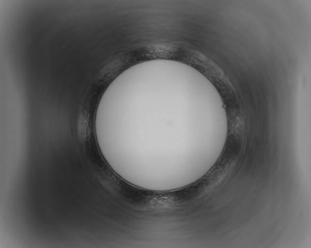 X0000102000599200808011123