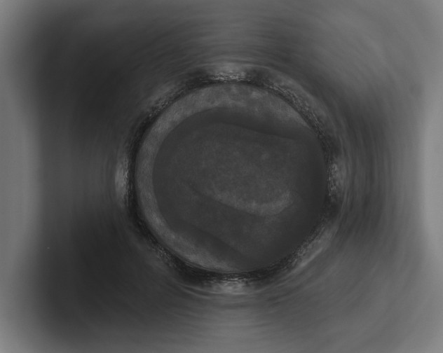 X0000102000600200808011123