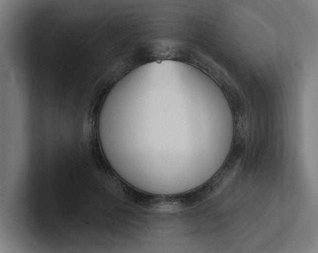 X0000102000601200808011123