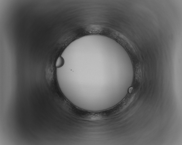 X0000102000604200808011123