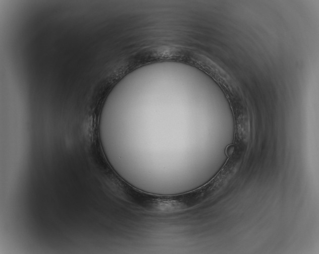 X0000102000605200808011123