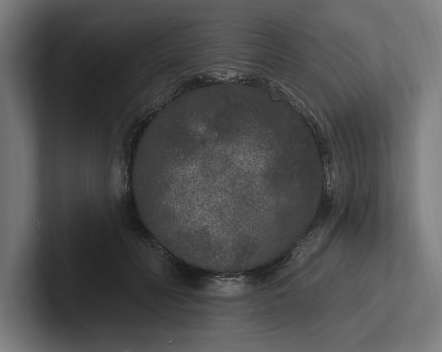 X0000102000606200808011123