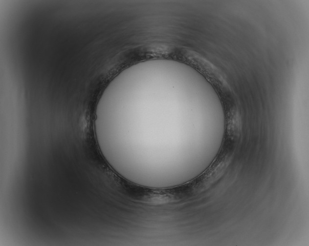 X0000102000608200808011123