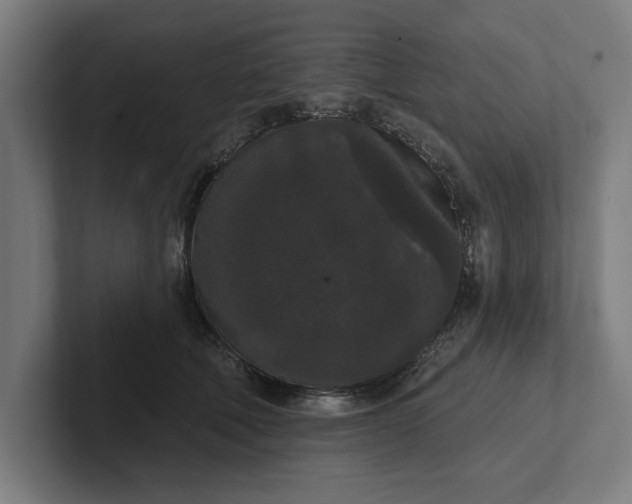 X0000102000610200808011123