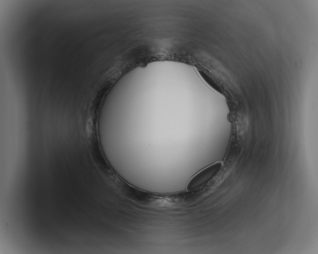 X0000102000611200808011123