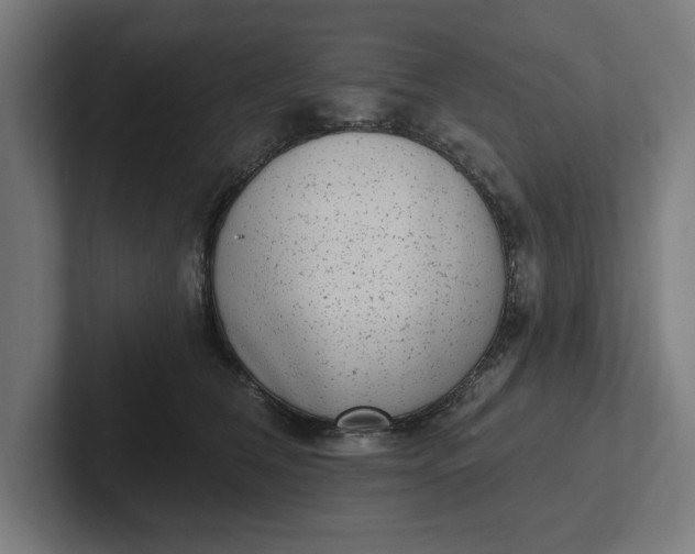 X0000102000612200808011123