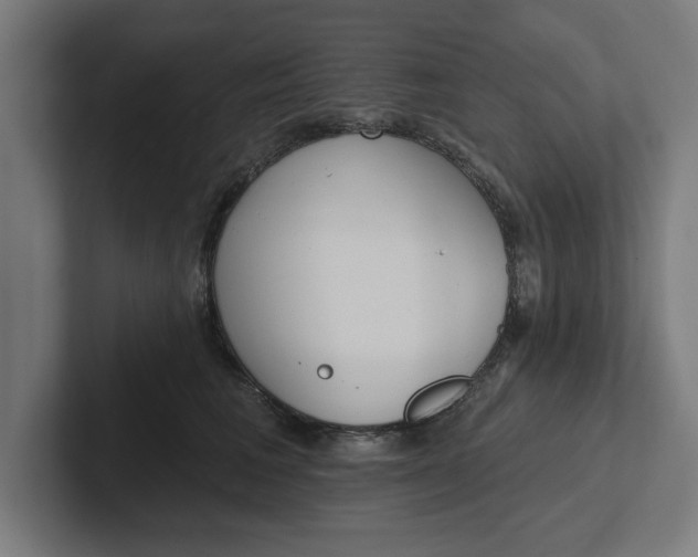 X0000102000613200808011123