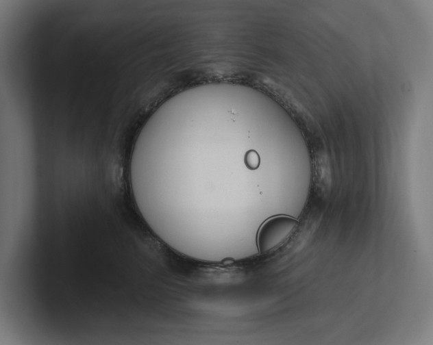 X0000102000615200808011123