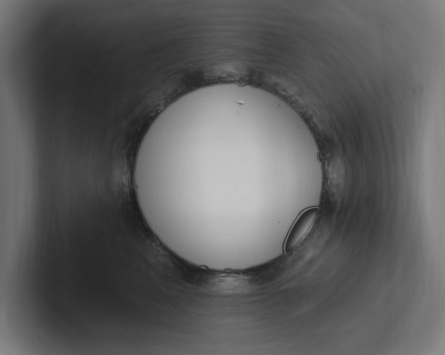 X0000102000617200808011123