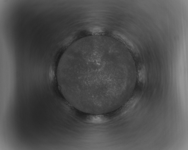 X0000102000618200808011123