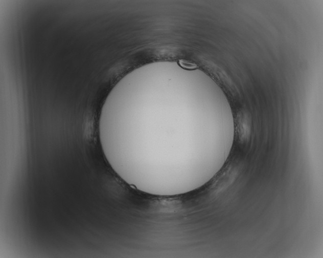 X0000102000619200808011123