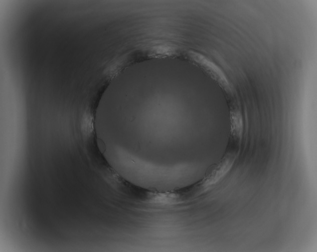 X0000102000621200808011123