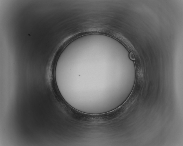 X0000102000628200808011122