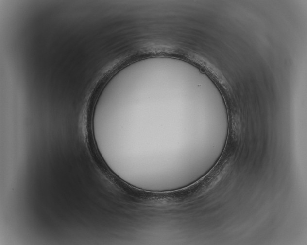 X0000102000629200808011122