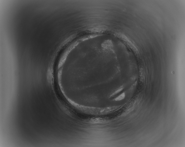 X0000102000634200808011122