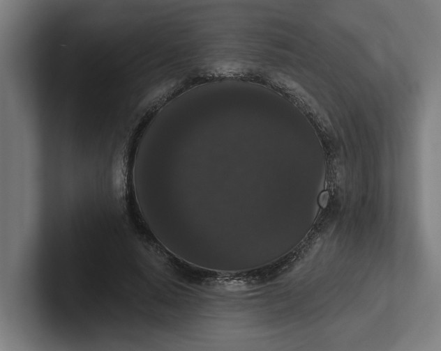 X0000102000640200808011122