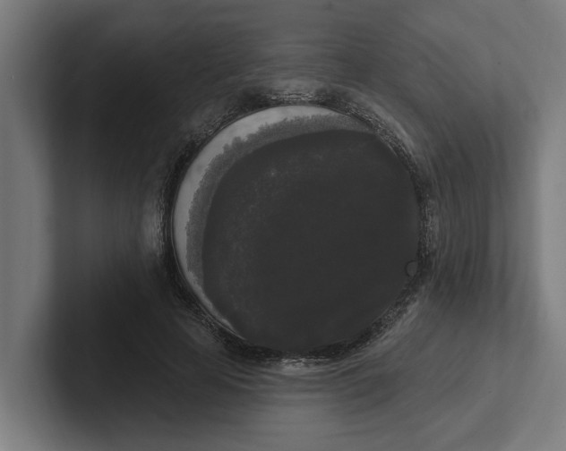 X0000102000641200808011122