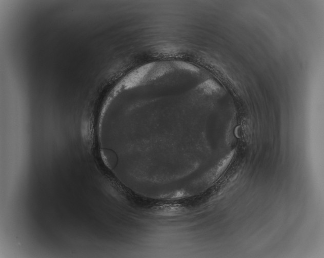 X0000102000642200808011122