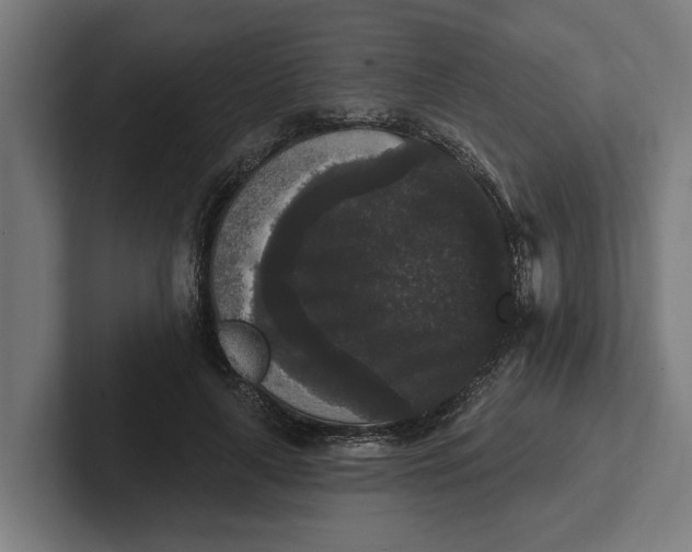 X0000102000643200808011122