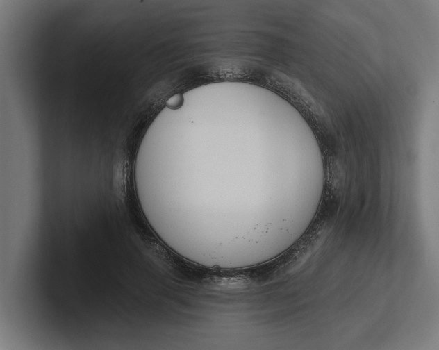 X0000102000645200808011122