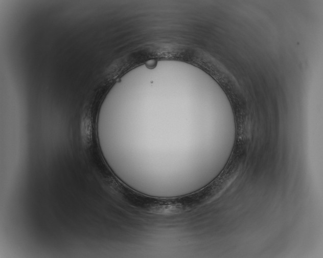 X0000102000646200808011122