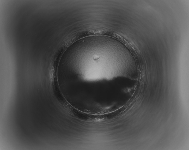 X0000102000647200808011122