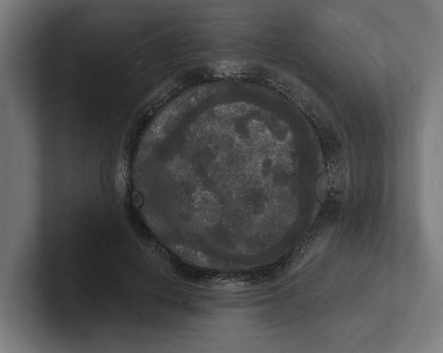 X0000102000648200808011122