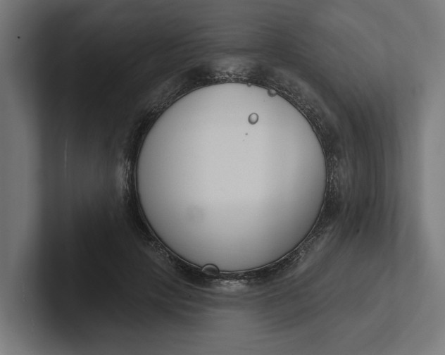 X0000102000649200808011122