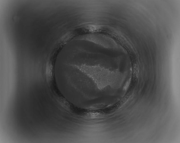 X0000102000650200808011122