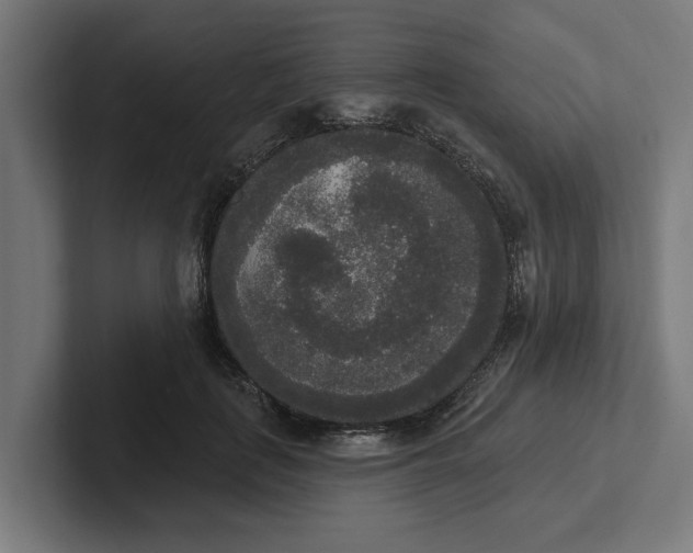 X0000102000651200808011122