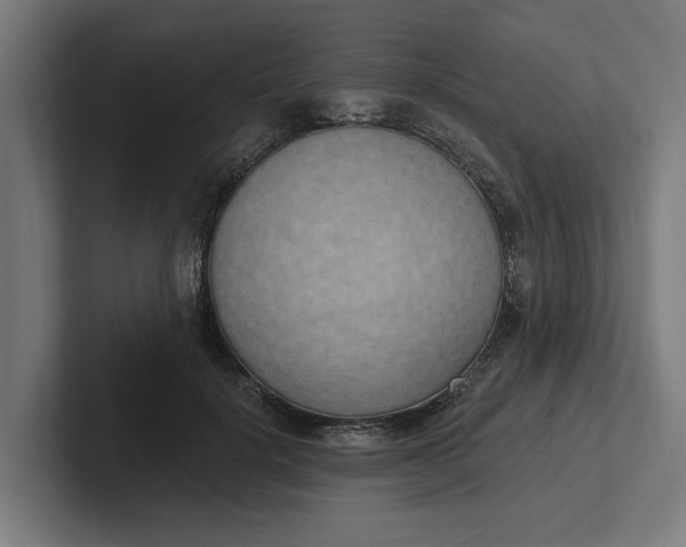 X0000102000652200808011123