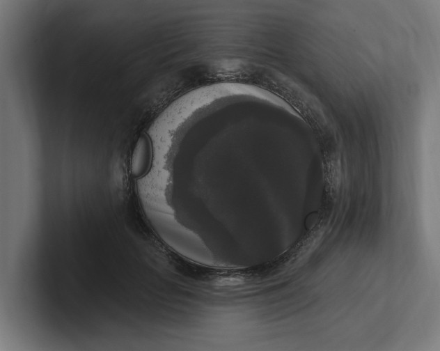 X0000102000653200808011123