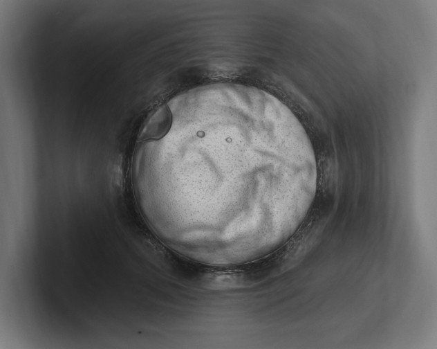 X0000102000655200808011123