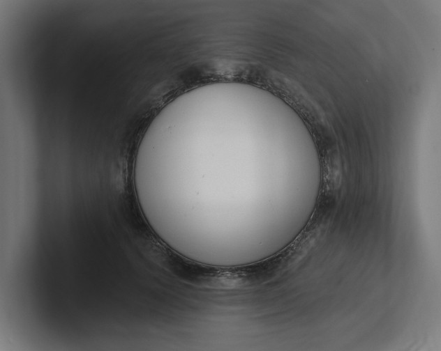 X0000102000656200808011123