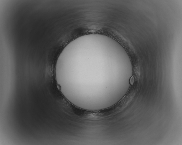 X0000102000657200808011123