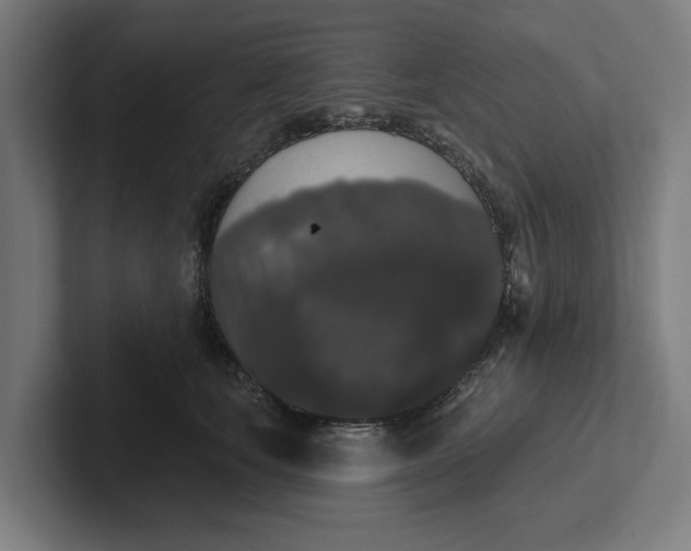 X0000102000659200808011123