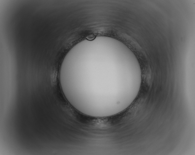 X0000102000660200808011123