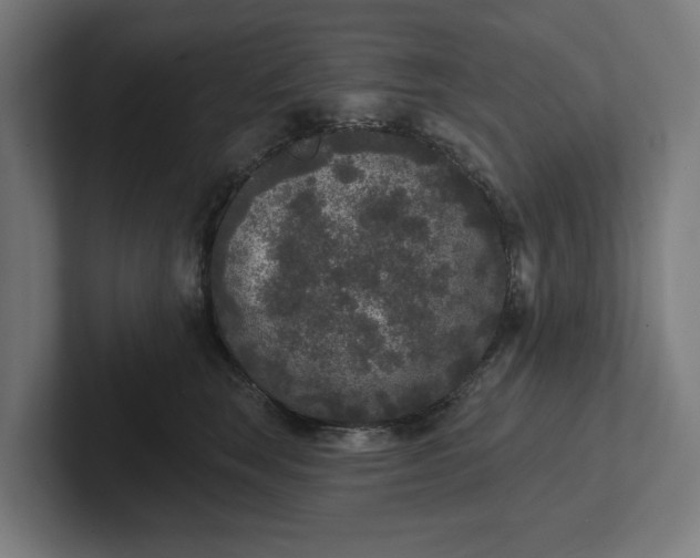 X0000102000663200808011123