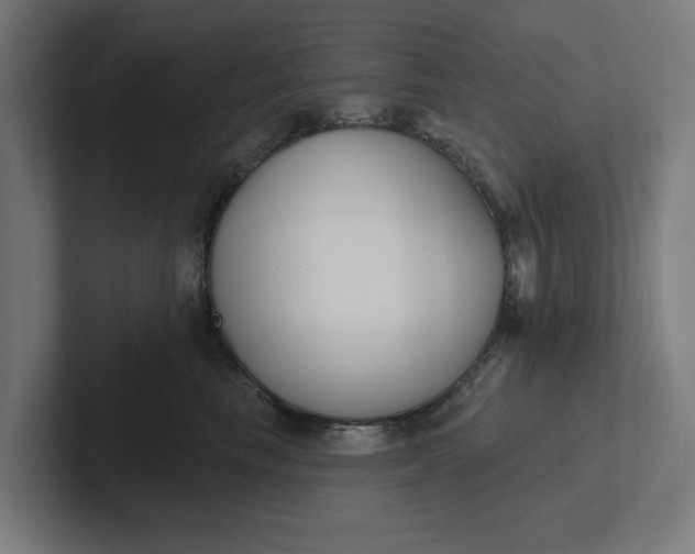 X0000102000665200808011123