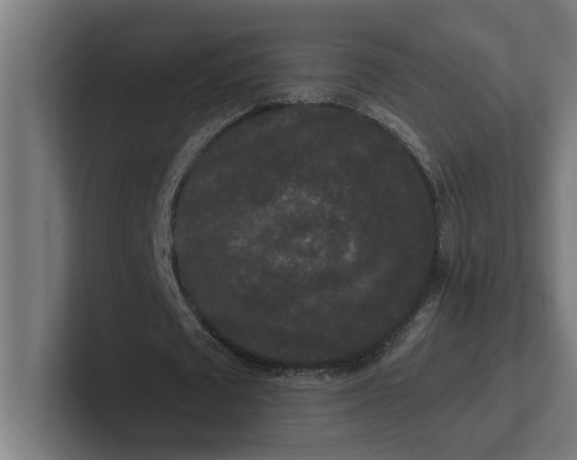 X0000102000673200808011122