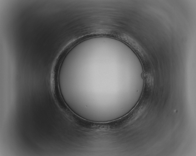 X0000102000676200808011122