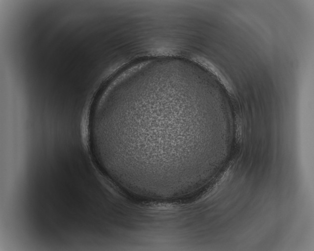 X0000102000677200808011122