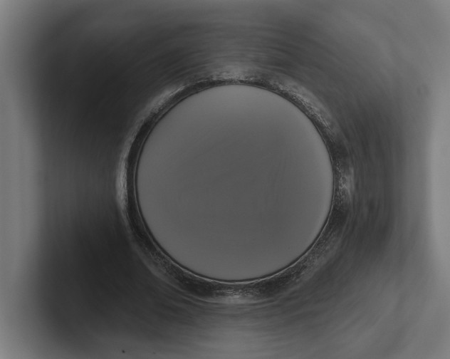 X0000102000678200808011122