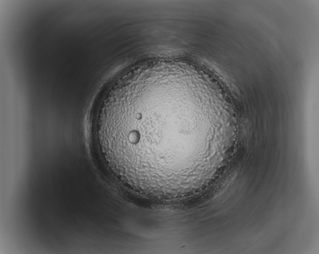 X0000102000679200808011122