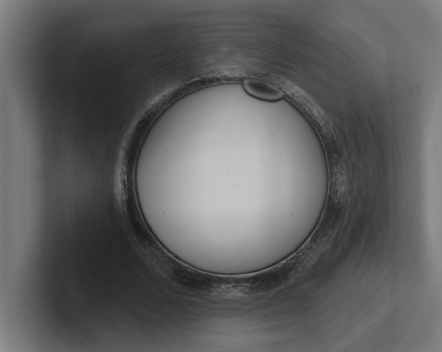 X0000102000680200808011122